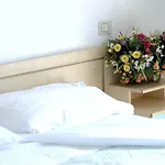 Hotel D'annunzio 2*